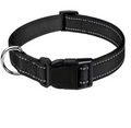 Reflektierendes Hundehalsband – Sicher & Komfortabel