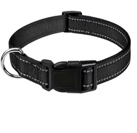 Reflektierendes Hundehalsband – Sicher & Komfortabel
