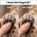 Nagelvijl